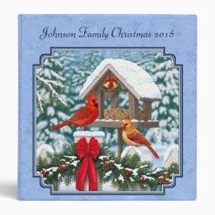 Classeur Cardinal Feast Blue