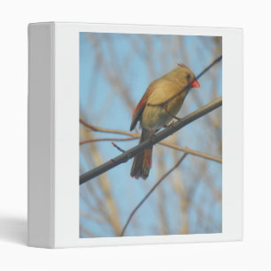 Classeur Cardinal/Oiseau féminin