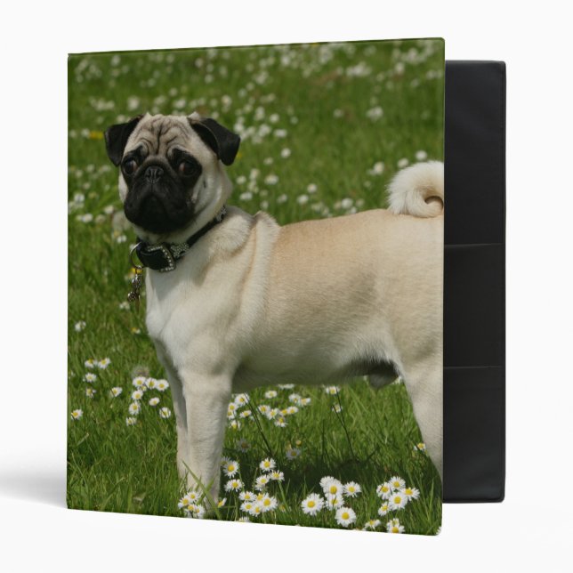 Classeur Carlin jouant en fleurs (Devant/intérieur)