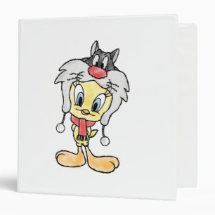 CLASSEUR CASQUETTE SYLVESTER™