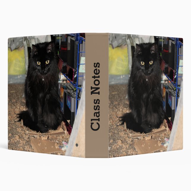 Classeur Cat (Arrière-plan)