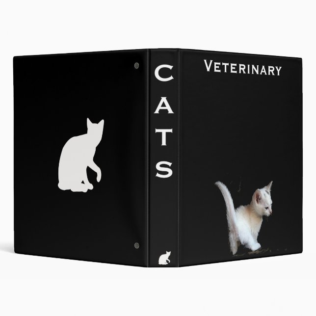 Classeur catsou (Arrière-plan)