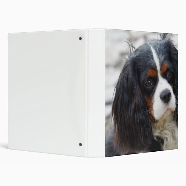 Classeur cav 2 (Arrière-plan)