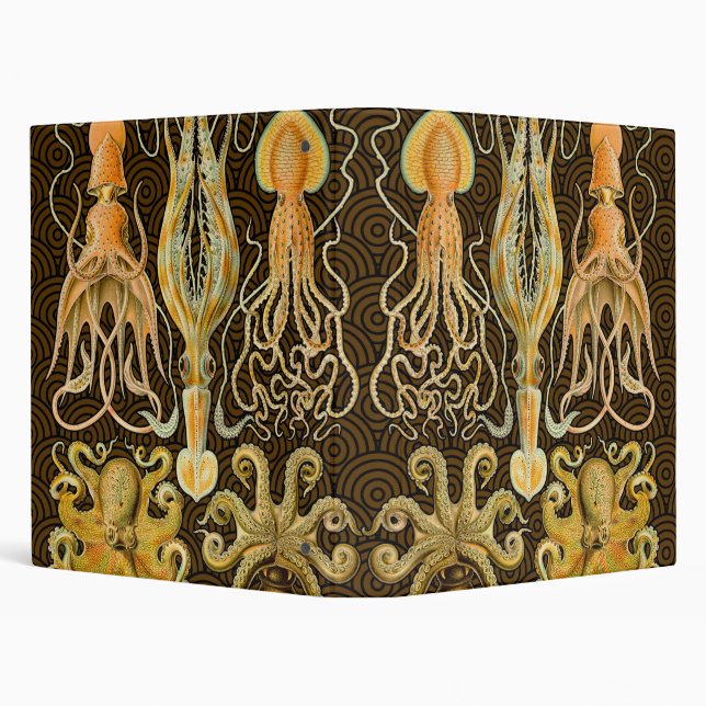 Classeur Cephalopod poulpe calmar Nature marine (Arrière-plan)