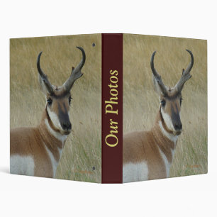 Classeur Cerf brocard d'antilope A5