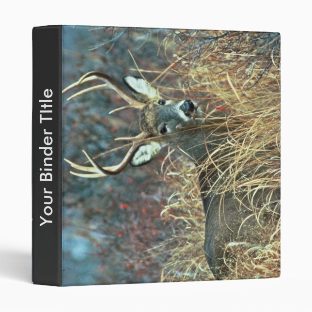 Classeur cerfs communs Blanc-coupés la queue (Devant/Côté)