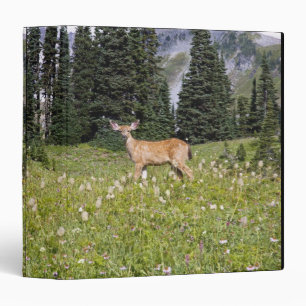 Classeur Cerfs communs en parc de paradis