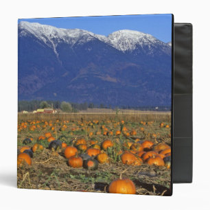 Classeur Champ de citrouilles de la vallée de Flathead Mont