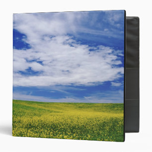 Classeur Champ de fleurs de canola ou de moutarde, Palouse