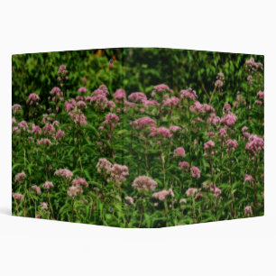 Classeur Champ De Sweet Joe Pye Fleurs De Mauvaises Herbes 