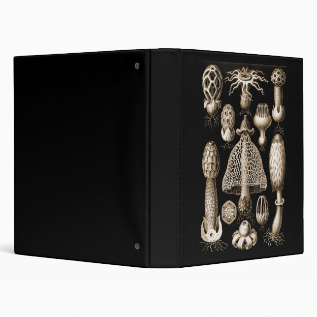 Classeur Champignons (Arrière-plan)