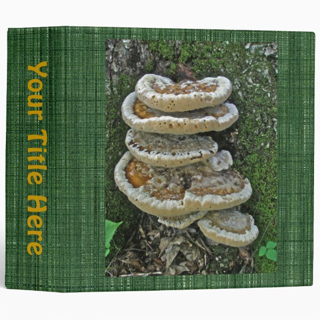 Classeur Champignons de plateau sur souche (Devant/Côté)