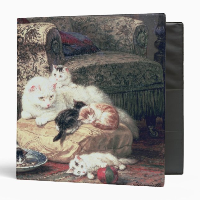 Classeur Chat avec ses chatons sur un coussin (Devant/Intérieur)