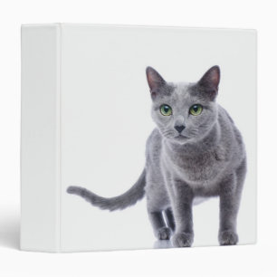 Classeur Chat bleu russe