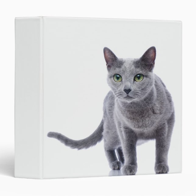Classeur Chat bleu russe (Devant/Côté)