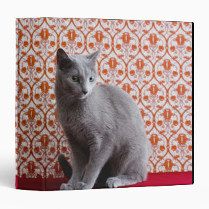 Classeur Chat (bleu russe) et arrière - plan de papier