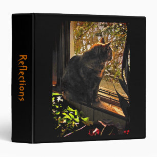 Classeur Chat dans la fenêtre