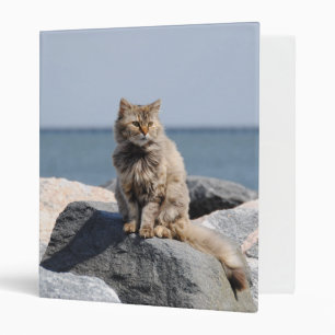 Classeur Chat Ébouriffé au Bord de la Mer Photo Mignonne