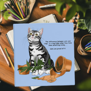 Classeur Chat plante