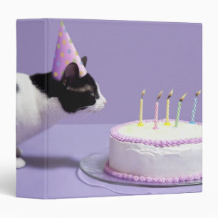 Classeur Chat portant un casquette d'anniversaire soufflant