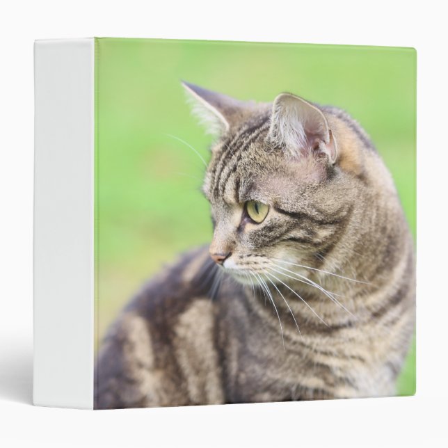 Classeur Chat Spécial (Devant/Côté)
