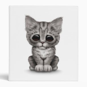 Classeur Chat tigré gris mignon triste de chaton sur le