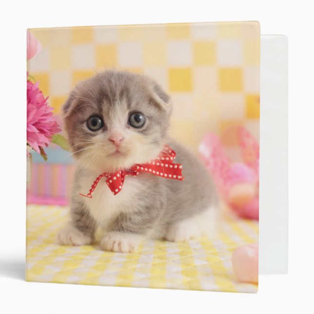 Classeur Chaton de Munchkin (Devant/Intérieur)