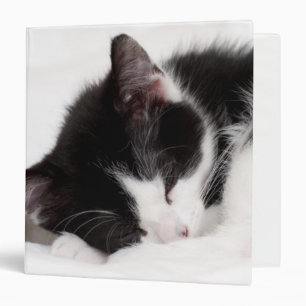Classeur Chaton de sommeil
