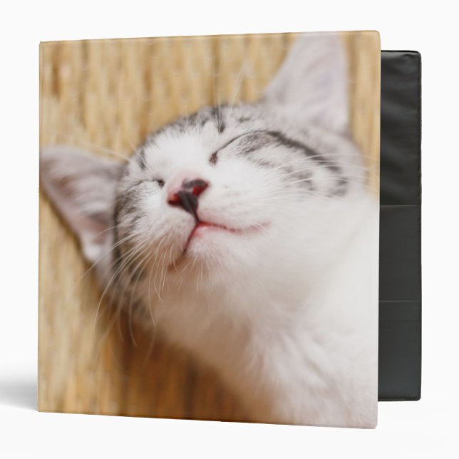 Classeur Chaton de sommeil (Devant/Intérieur)