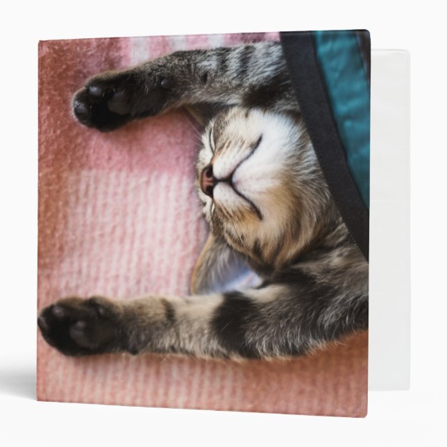 Classeur Chaton de sommeiller (Devant/Intérieur)