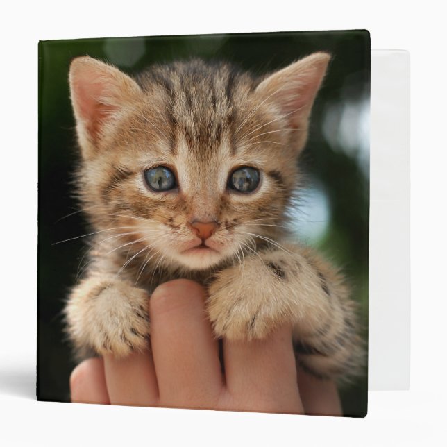 Classeur Chaton doux de bébé (Devant/Intérieur)