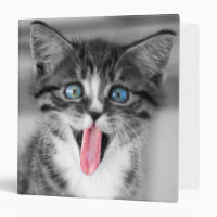 Chaton drôle