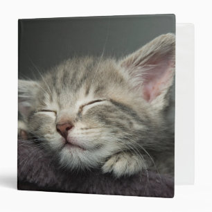 Classeur Chaton somnolent