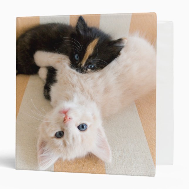 Classeur Chatons blancs et noirs (Devant/Intérieur)