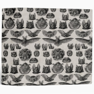 Classeur chauves-souris vintages