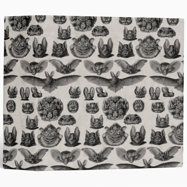 Classeur chauves-souris vintages (Devant/Côté)