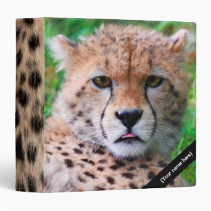 Classeur Cheetah