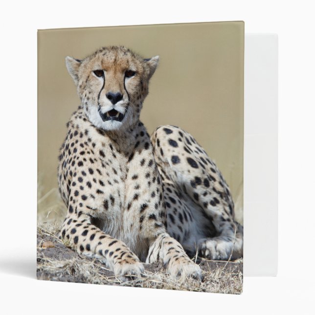 Classeur Cheetah (Devant/intérieur)