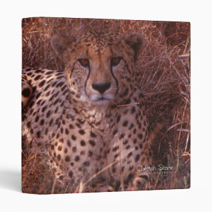 Classeur Cheetah Stare