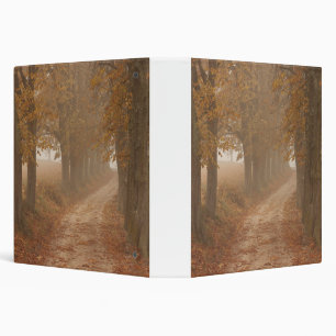Classeur Chemin boisé bordé par des arbres d'automne Photo