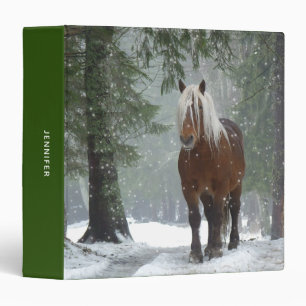 Classeur Cheval Brown dans une forêt d'hiver avec chute de