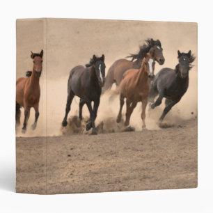 Classeur Cheval dans l'automne II