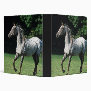 Classeur Cheval d'Appaloosa courant 2