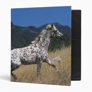 Classeur Cheval d'Appaloosa courant la montagne