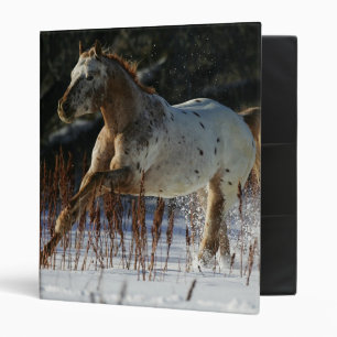 Classeur Cheval d'Appaloosa fonctionnant dans la neige