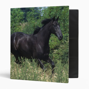 Classeur Cheval de pur sang fonctionnant dans l'herbe