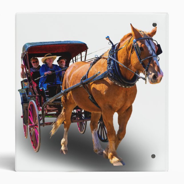 CLASSEUR CHEVAL ET TRANSPORT (Dos)