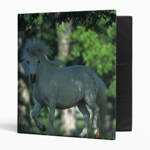 Classeur Cheval miniature se tenant dans les arbres