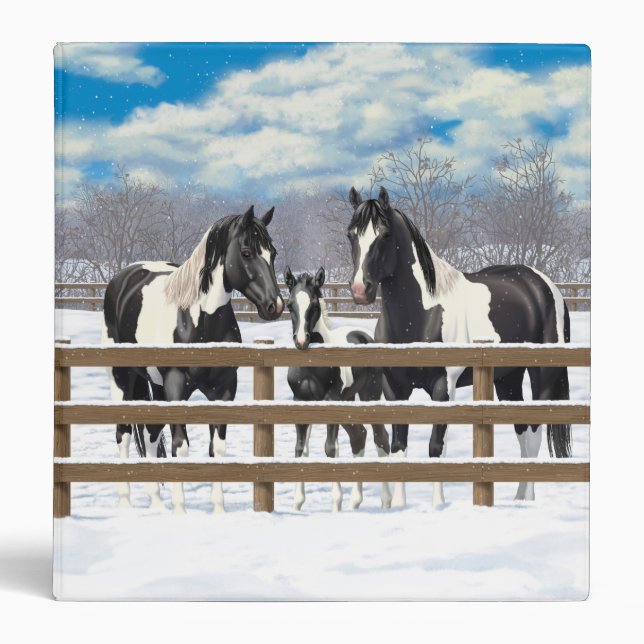 Classeur Cheval Pinto Quarter Noir Chevaux Paint Chevaux Da (Devant)