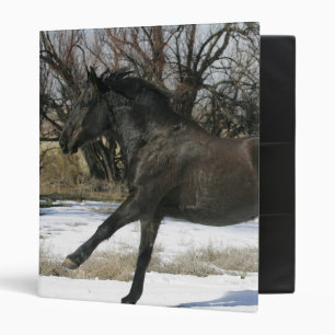 Classeur Cheval sauvage de mustang dans la neige 2